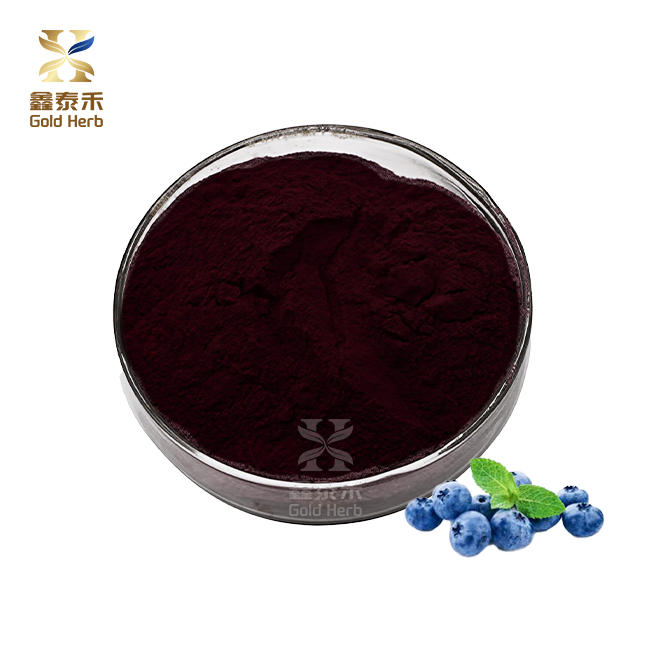 Bilberry extract powder